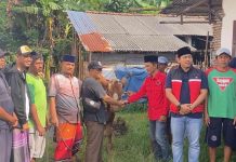 Senyum Bahagia Warga Brambang Jombang Sambut 170 Paket Daging Sapi dari PDI Perjuangan