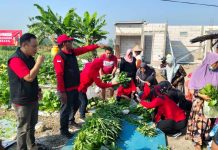 Wujudkan Kedaulatan, PDI Perjuangan Jombang Sulap Posko Pangan Jadi Sumber Gizi Warga